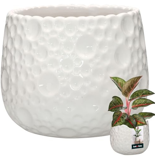 KOTARBAU® Blumentopf Keramik rund ⌀ 14,5 cm Höhe: 15 cm Weiß Übertopf Keramik Übertöpfe für Zimmerpflanzen Blumentopf modern kleine Übertöpfe Pflanztopf Keramik Orchideentopf Keramik Übertopf