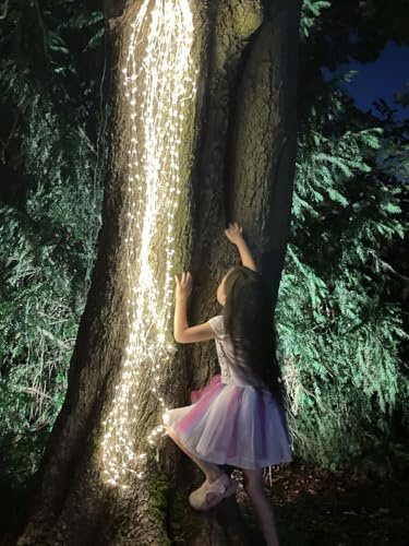hellum LED Lichterkette Fontäne, beleuchtet 20 Stränge à 5m, Trafo außen | Lichterkette außen Strom mit 700 LED warmweiß, mit Blinkfunktion, silbernes Kabel mit transparentem Band <59lm 152838