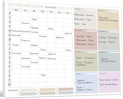 BIROYAL Study Essentials - Studienplaner A4, 50 Blätter - Lehrerbedarf, Wochenplaner Block für Schüler, School Supplies, Schulsachen, Stundenplan - Lernplaner zum Beschriften und Abreißen