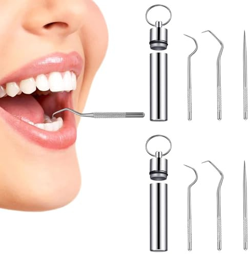 2PCS Stainless Steel Toothpicks Reusable Cleaning Tooth Hook Metal Toothpicks with Holder with Keychain Box for Outdoor Picnic Camping Traveling Supplies