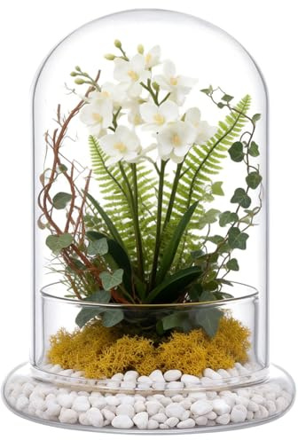UNICRAFTALE 15.5cm High Clear Cloche Glass Dome with Base Handmade Glass Cloche Antique Collectibles Dome Showcase Decorative Bell Jar for Plants Fairy Lights Medal Photos Table Decor