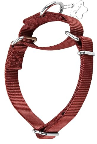 Dazzber Martingal Halsbänder für Hunde, Verstellbar Langlebig Kein Escape Stop Ziehen Hundehalsband Nylon für Große/Mittlere/Kleine Hunde (M(36cm-53cm), Ziegelrot)