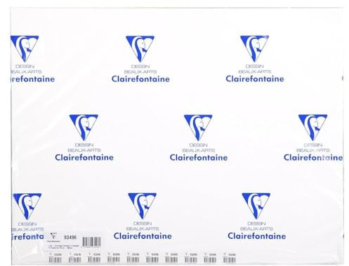 Clairefontaine - Ref 93496C - Papel acrílico (paquete de 10 hojas) - 50 x 65 cm de tamaño, papel de 360 g/m², libre de ácidos, pH neutro, apto para uso con pinturas acrílicas y gouache