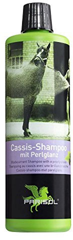 PFIFF 102592 Bense & Eicke Pflege Shampoo, 500