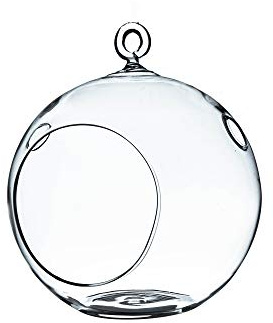 WGV Terrarium à Suspendre en Verre Transparent avec Fond Plat 12,7 x 15,2 cm