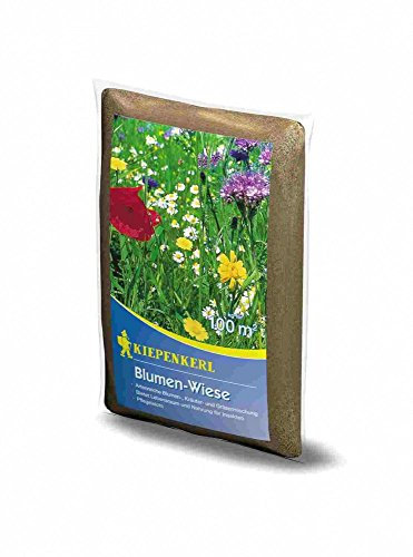 Kiepenkerl Blumen-Wiese 1Kg