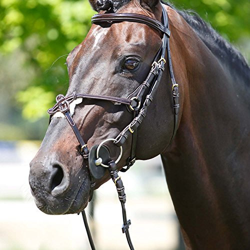 TATTINI headstall, das Eco Zügel aus Gummi, braun, Cob
