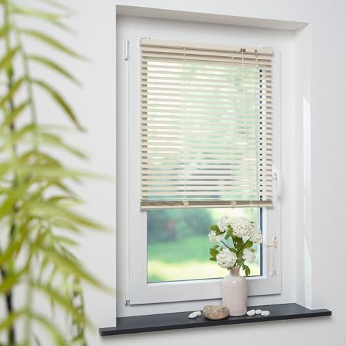 Hombera Aluminium-Jalousie, Wand -und Deckenmontage, Breite: 100 cm/Länge: 160 cm, Farbe: Champagner