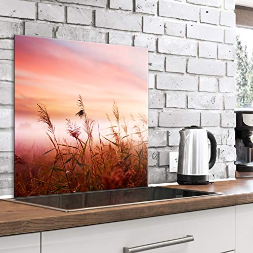 murando Glass Splashback for Kitchen Backsplash Cooker Protector | Tempered Glass Decorative Wall Art Panel Heat Resistant Graphic 60x60 cm / 24x24 Nature Landscape Field Meadow