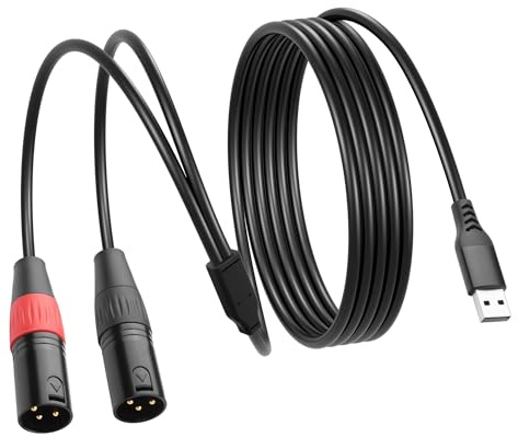 SinLoon USB-A Stecker auf Dual XLR Stecker Audiokabel Mit eingebautem 32-Bit/384-kHz-DAC-Chip Stereo-Audio-Verbindungskabel Für Computer,Soundsystem, Endstufe-2 M