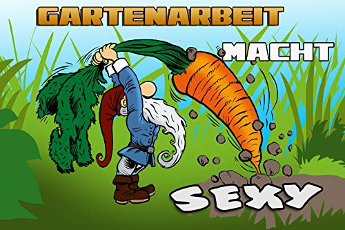 Schatzmix Spruch Gartenarbeit Macht sexy Gartenzwerg Metallschild 20x30 Deko Blechschild, Blech, Mehrfarbig, 20x30 cm