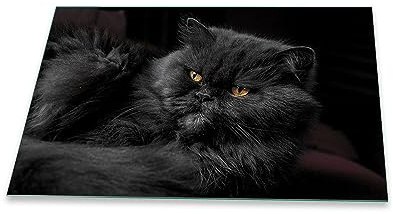 Herdabdeckplatte Abdeckung Ceranfeld Abdeckplatte Schneidebrett 1-Teilig 80x52 Katze Schwarz Spritzschutz Glasplatte Ceranfeldabdeckung Schutz Kochplatten Herdschutz Sicherheitsglas Glasschneidebrett