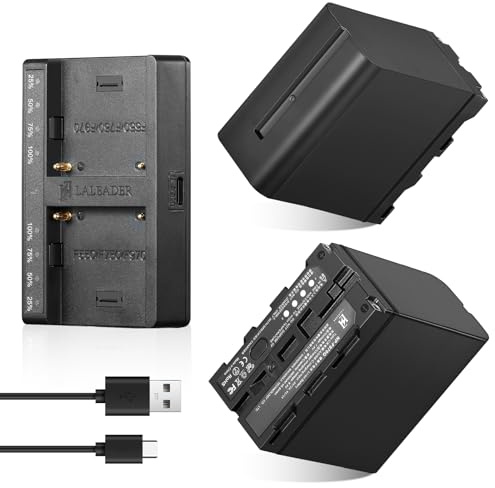 Soonpho 2-Pack NP-F970 Recargable Li-Ion Batería de Repuesto de 2 Piezas y Cargador Smart LED Dual USB-C para Sony NP-F970 F960 F950 F770 F750 F550 Compatible Godox Neewer Camcorder/Monitor/Camera