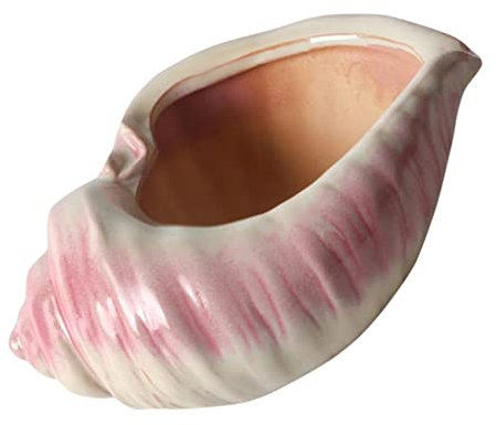 Milisten Schalentopf Conch Blumentopf Kleiner Behälter Bürodekoration büro Dekoration Zimmerpflanzentöpfe Ornament Bonsaischale aus Keramik Sukkulenten Pflanztöpfe kleine Keramik schmücken