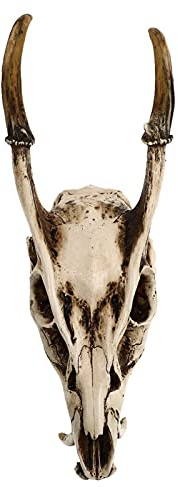Healifty Faux Taxidermy ram får skalle 3D harts djur skalle skelett viking huvud skulptur vägg hängande konst samlarobjekt dekor halloween prydnad