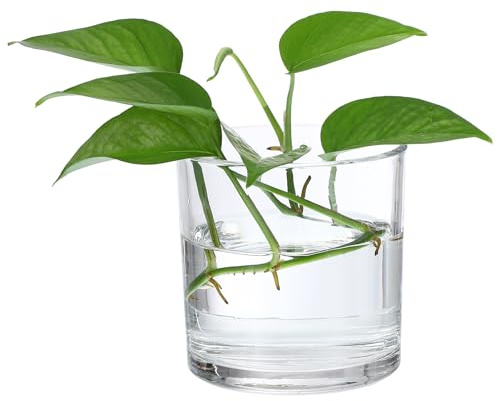 PATIKIL Jarrón De Vidrio Rectangular 4.7x4.7 Pulgadas, 1 Pc Terrario Transparente para Decoración De Bodas Y Hogar