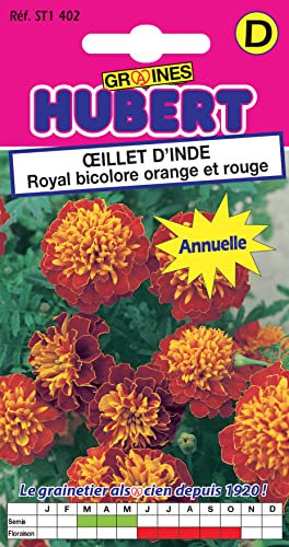 Graines d'Oeillet d'Inde Royal Bicolore Orange & Rouge - 1 gramme