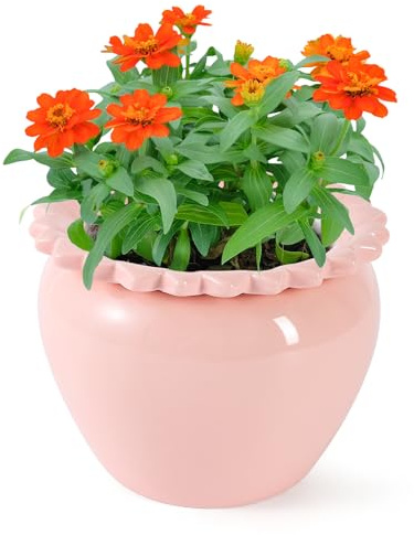 Tbpro 8in Ceramic African Violet Pots Self Watering Pink Ceramic Dolomite Clay for Indoor Plants Herbs Flowers Orchids Succulent Ideal Gardening Gifts Orchid Planter