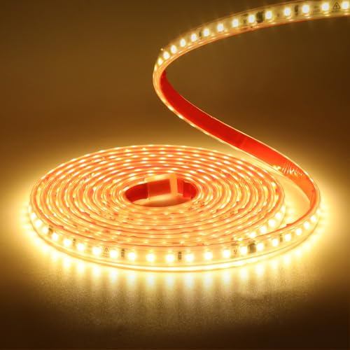 Wisada Bande lumineuse LED 220V SMD 2835, 120 LED/m, étanche IP65, bande lumineuse flexible pour lanterneaux de toit, salon, cuisine, décoration (Blanc chaud (3000-3500K), 3M)