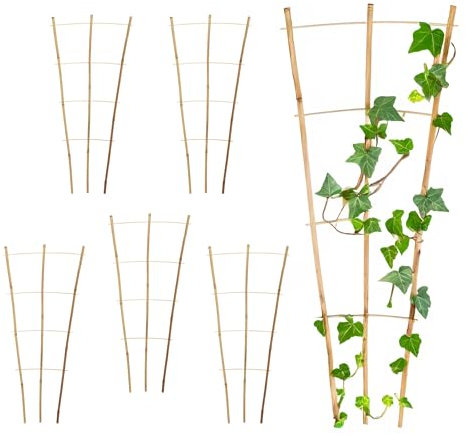 Griglia per tralicci in bambù, 75 x 35 cm, naturale, set da 6 pezzi, in legno, conica per piante rampicanti, supporto per piante rampicanti, pomodori, cetrioli, piante rampicanti, traliccio da