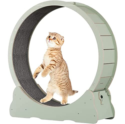 KFGISD, Rundes großes Katzenlaufrad for kleine/mittelgroße Haustiere, Indoor-Übungen, XL-Grün,Laufband für Haustiere