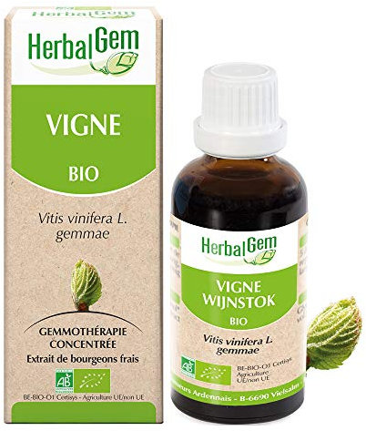 HERBALGEM - Macérât-Mère - Vigne Bio - Complément Alimentaire Gemmothérapie Concentrée - Extrait De Bourgeon Frais - Santé Circulatoire, Drainage, Antioxidant, Santé Peau - Vegan - 30 ml