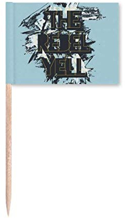 Graffiti Street The Rebel Yell Pattern Toothpick Flags Marker Topper Party Decoration