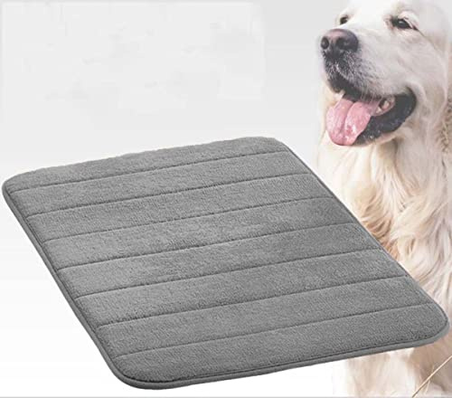 Danchen Hundebett Katzenmatte 100 x 60 cm waschbar Hundebox Matratze Weicher, dünner Schaumstoff Haustierbetten Zwinger Pad Orthopädisches Hundekissen Kissen Polsterung, rutschfest