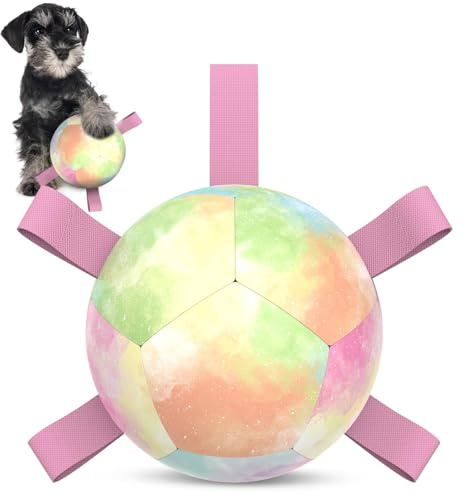 HETOO Hundleksak fotbollsboll med remmar, interaktiva hundleksaker för släp av kriget, valpar födelsedagspresenter, hund vattenleksaker, hållbara hundbollar för små hundar 13 cm