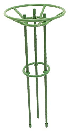 Toyvian Cages à pour Jardin Cadre Escalade pour Plantes Support De Tuteur pour Plantes Support pour Grimpantes Outil De Jardinage