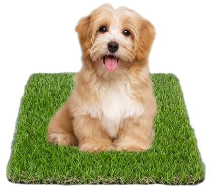 30×30cm Hundeklo Welpen Training Hundetoilette Ersatzrasen, Trainingsunterlage Hundetoilette Welpentoilette, Wiederverwendbar Training Pee Pads für Ältere, Kleine, Grosse Hunde (2cm,30 * 30cm)