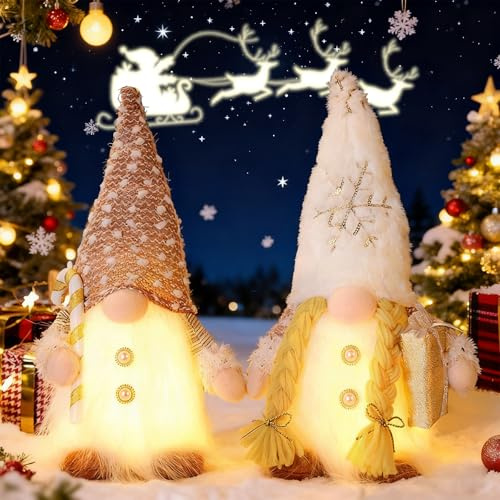 VEEKAY 2 Pezzi Gnomi Natalizi Luminosi,Gnomi Natalizi Con Led,Nano Natalizio,Albero Di Natale Decorazioni Casa Paillettes Peluche Ornamenti,Decorazioni Natalizie per La Casa,Pensierini Natalizi