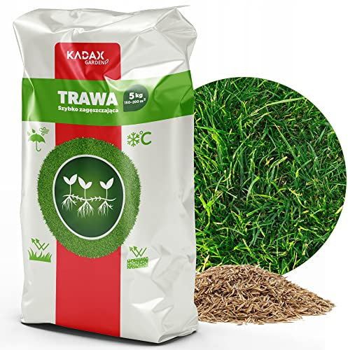 Semi di prato di Kadax, semi di erba, erba in rapida crescita, pellet da prato, semi di prato in rapido mercine, semina sul prato, GrassAat resistente al gelo, prato (5 kg)