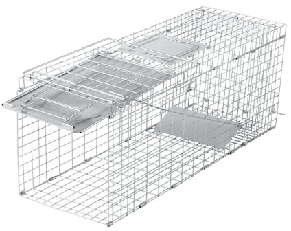 Pinikuyiro 32 Inch Live Animal Trap, No Assembly Required,Safe Medium Traps for All Animals,Raccoons, Cats, Groundhogs, Opossums,31 L x 11.5 W x 12.5 H (Silver)