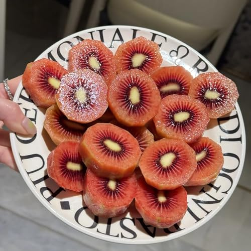 kiwibeeren - kiwibeeresamen kiwi hochbeet bonsaibaum säulenobst balkonpflanzen nachhaltige geschenke geschenke für gartenliebhaber hecken sträucher deko wohnzimmer bio obstbäume kaufen 100samen