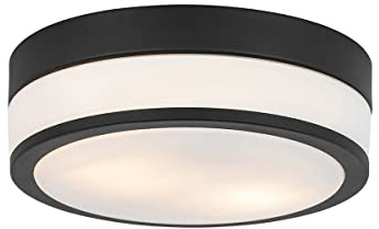Qazqa - Moderne Bad I Badezimmer Außen Deckenleuchte I Deckenlampe I Lampe I Leuchte Schwarz 2-flammig8 cm IP44 - Flavi I Außenbeleuchtung - Stahl Rund - LED geeignet E27