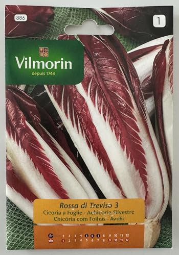 Semi Cicoria a Foglie Rossa di Treviso 3 S1-886 12 Gr, Confezione da 10 bustine