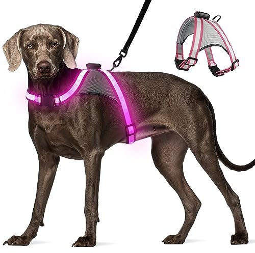 Visinite LED-Hundegeschirr mit Licht, wiederaufladbar, leuchtende Hundeweste, 2 Beleuchtungsmodi, verstellbares beleuchtetes Geschirr für sichere Nachtspaziergänge