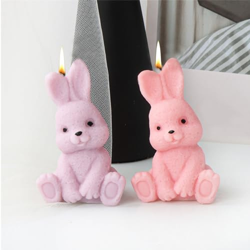 Recitem Moule Lapin en Silicone 3D pour Pâques - Bougie, Savon, Chocolat, Cadeau - Construction en Moule en Silicone - 2 Styles - 2 Pièces
