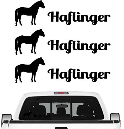 siviwonder Haflinger Gebirgspferd Aufkleber 3er Set Pferdeaufkleber Pferd reiten Auto Folie Farbe Schwarz, Größe 30cm
