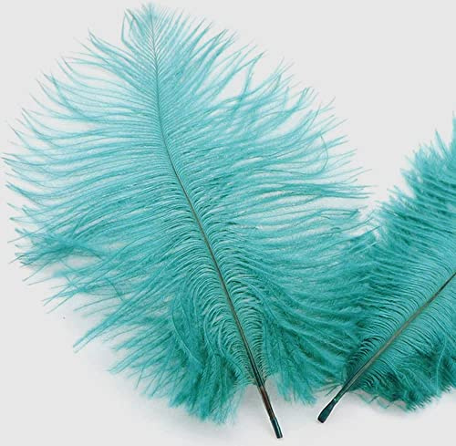 20 stycken 15–20 cm naturliga strutsfjädrar, bukettfjäder för pyssel, pysselfjädrar för gör-det-själv drömfångare tillbehör, heminredning, kostymer, bordsdekoration, bröllop, fest, hatt, kläder,