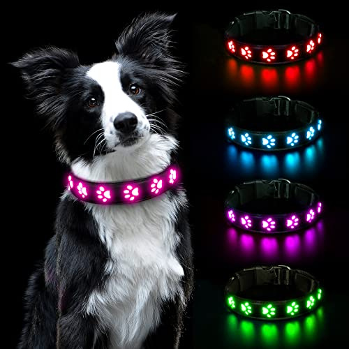 AUAUY LED Hundehalsband Leuchtend, Wasserdichtes, 3 Beleuchtungsmodi Rosa-S | Einstellbar Sicherheit Kragen, Hunde Halsband, USB Wiederaufladbar, Wasserdichtes, für Kleine Mittlere Große Haustier