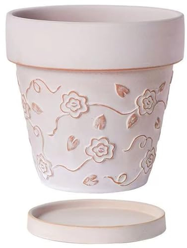 LOJAX Macetas Decorativas de Interior - pequeñas macetas de cerámica para Plantas - macetas Creativas y prácticas, macetas, macetas pequeñas macetas de cerámica
