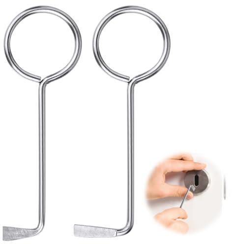 Flintronic Set di Grimaldelli professionali, Attrezzi da Fabbro, 2 Pezzi Chiavi Professionali, Set Grimaldelli, Aperte quasi Ogni porta, Chiavi Universali per Porte Della camera