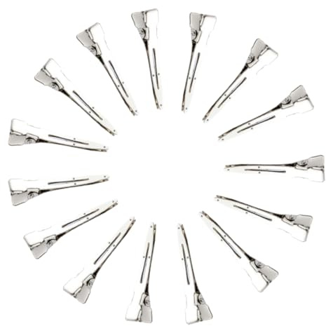 WUSJCOF Becchi D'oca per Capelli, 15 pezzi, Clip di Sezionamento, Becco D'anatra Clip in Metallo, Con scatola di immagazzinaggio, Fermagli arricciati per parrucchiere, Beccucci (4,5 cm) (Argento)