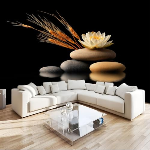 Genérico Fotomurales Decorativos Pared Minimalismo Zen Piedras, Negro Fotomural Decorativo para el Hogar 250 x 175 cm (An x Al) – Ldeal para Salón Dormitorio Oficina y Pared de TV