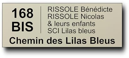 Plaque Boite aux Lettres Personnalisable - 12x5 cm - Adresse et Numéro de Rue - 5 Lignes - Adhésive - Gravée et Personnalisée pour Maison, Famille, Bureau - Étiquette Avec Nom (Amande)