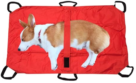 Camilla de Transporte para Perros Plegable y Ligero para Pequeños y Grandes | Transportador para Animales Compactos Diseño Plegable Para Gatos Medianos, Grandes, Cachorros, Conejos Y Animales Enfe