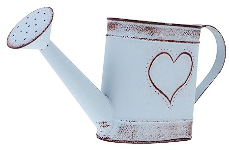 Garneck 2stücke Eisen Blumenkanne Vintage Gießkanne Für Garten Und Dekoration Antike Metallvase Für Innen Und Außenbereich Rustikales Design Für Gemütliches Zuhause