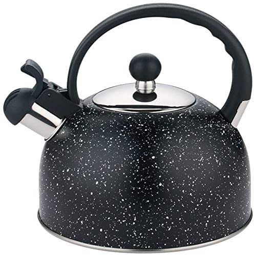 Théière avec bouilloire à hochet en acier inoxydable infuseur, flûte personnalisée, bouilloire, ruban de pulvérisation, saupoudrer une théière à hochet